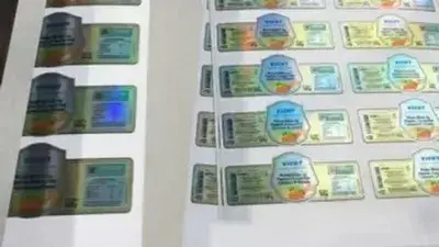 Independent cutting for printed label rolls