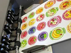 Automatic Paper Feeding System