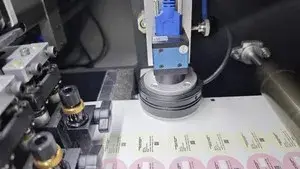 CCD Identification System