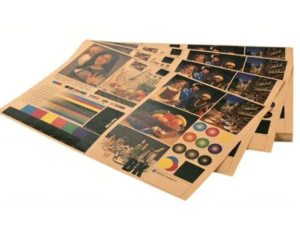 Sheet Photo 